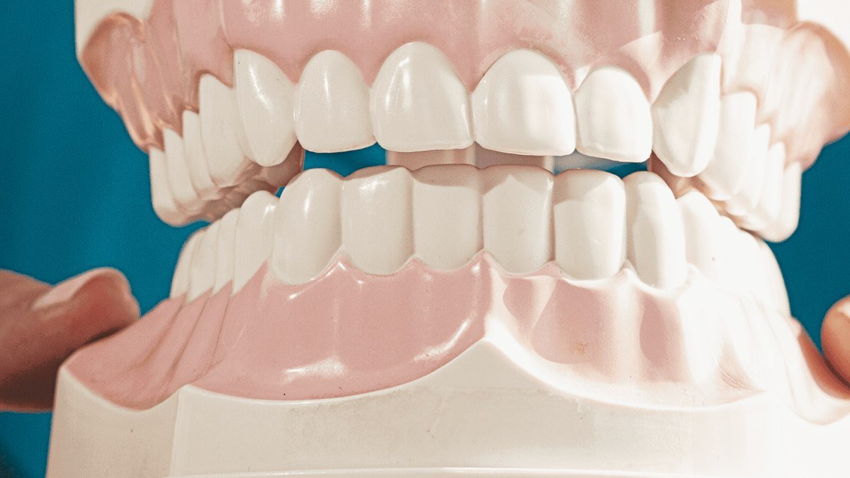 A dentist holding a dental model used to explain teeth whitening in Orlando