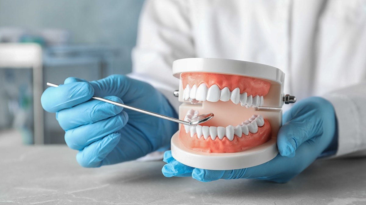 Dentist holding a full dental arch model while explaining how a denture is fitted
